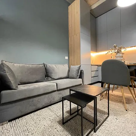 公寓式酒店 Ambassador Skyline 地拉那